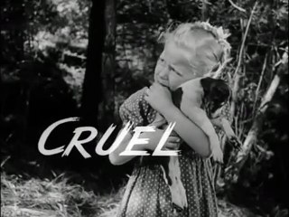 Brinquedo Proibido Trailer Original