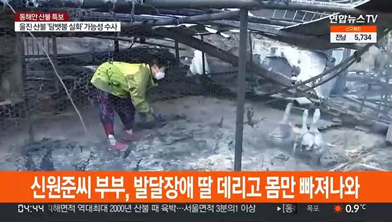 "오리 너라도 살아서 다행"…가옥 잿더미에 망연자실