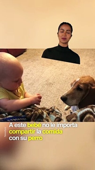 Perro y bebé comparten comida