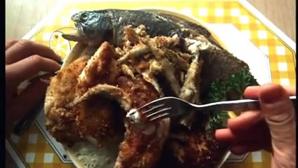 La loca aventura del matrimonio Tráiler VO