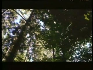 The Passion of Darkly Noon Tráiler VO