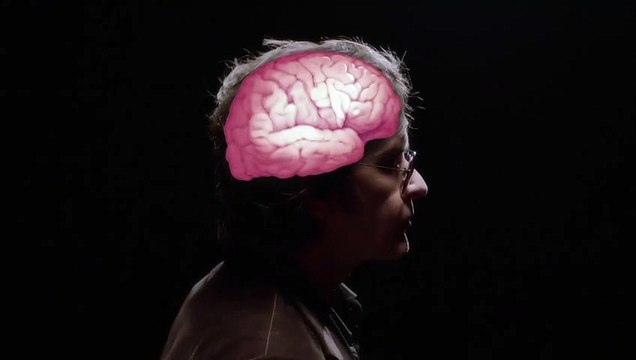 A Glimpse Inside The Mind of Charles Swan III Teaser VO