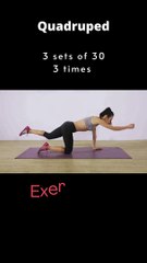 Quadruped  Exercise  6 of 9