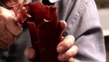 Xico Stockinger Trailer Oficial