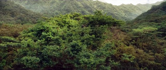 Jogos Vorazes - Em Chamas Trailer (3) Original