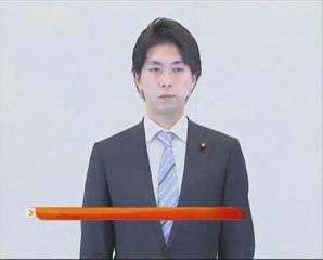 Anggota Parlimen Jepun letak jawatan kerana skandal