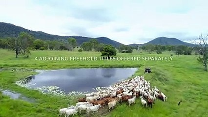 Lower Wonga | March 2022 | Queensland Country Life