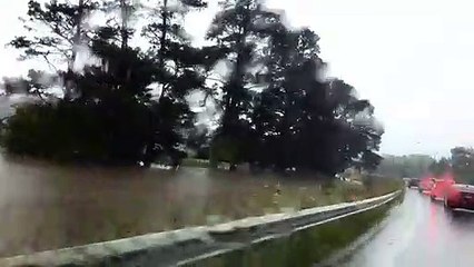 Wingecarribee River at Bong Bong | March 2022 | Video by Phillip Minnis