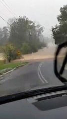 Highlands flooding | March 2022 | Video by Shoni Dhaka