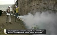 Elak hubungan seks langkah pencegahan Zika