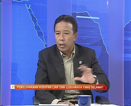 Analisis AWANI: Pemeliharaan hidupan liar dan lebuhraya yang selamat