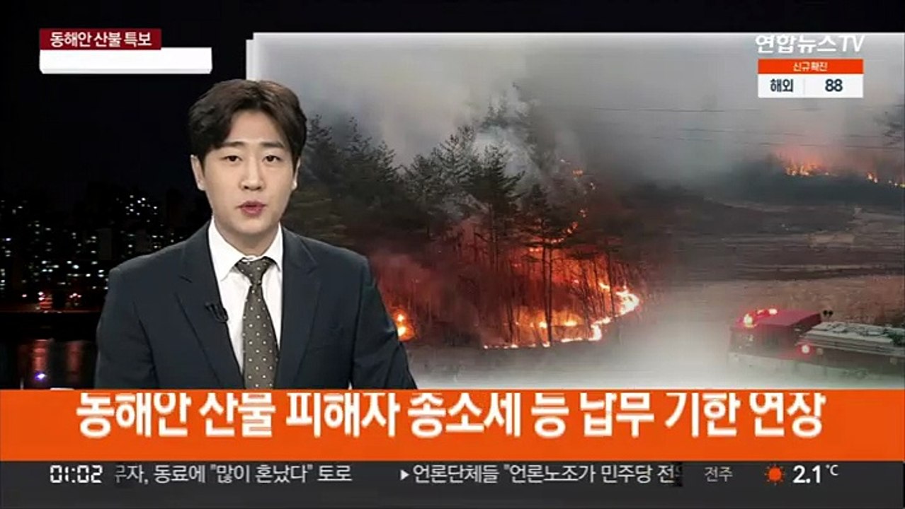동해안 산불 피해자 종소세 등 납부 기한 연장