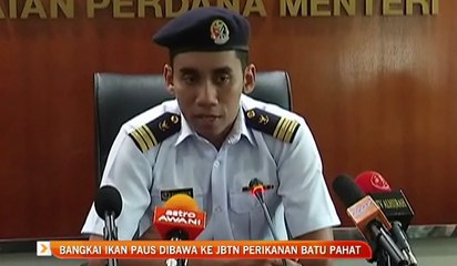 Bangkai ikan paus dibawa ke Jabatan Perikanan
