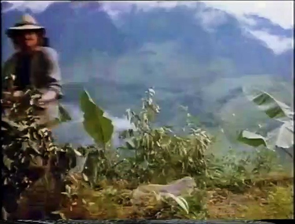 Tras el corazón verde Tráiler VO