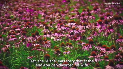 احذر هذا الخطأ أيها الزوج ( فن التعامل مع الزوجة ) د. محمد راتب النابلسي