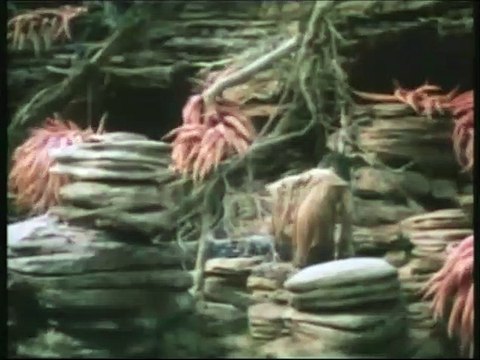 Cristal oscuro Tráiler VO