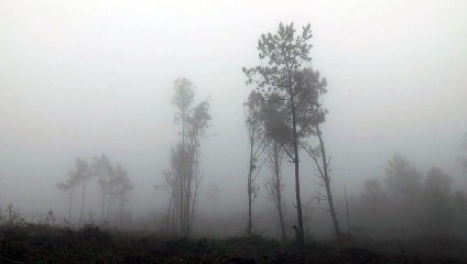 Costa da Morte Tráiler