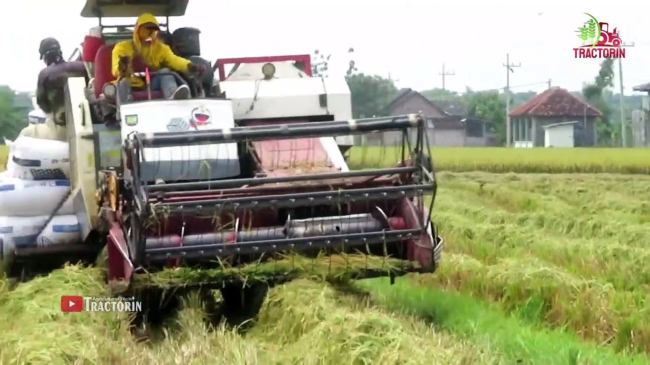 KOMBI SAWAH KERJA BARENG CEPAT begini Rahasianya