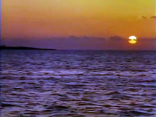 Tiburón, la venganza Tráiler VO