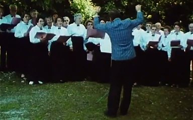 El árbol, el alcalde y la mediateca Tráiler VO