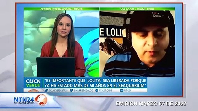 Preocupación de organizaciones protectoras de animales por el incierto estado de salud de la Orca ‘Lolita’