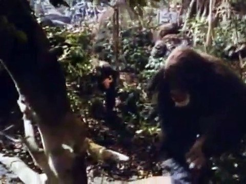 Greystoke, la leyenda de Tarzán, el rey de los monos Tráiler VO