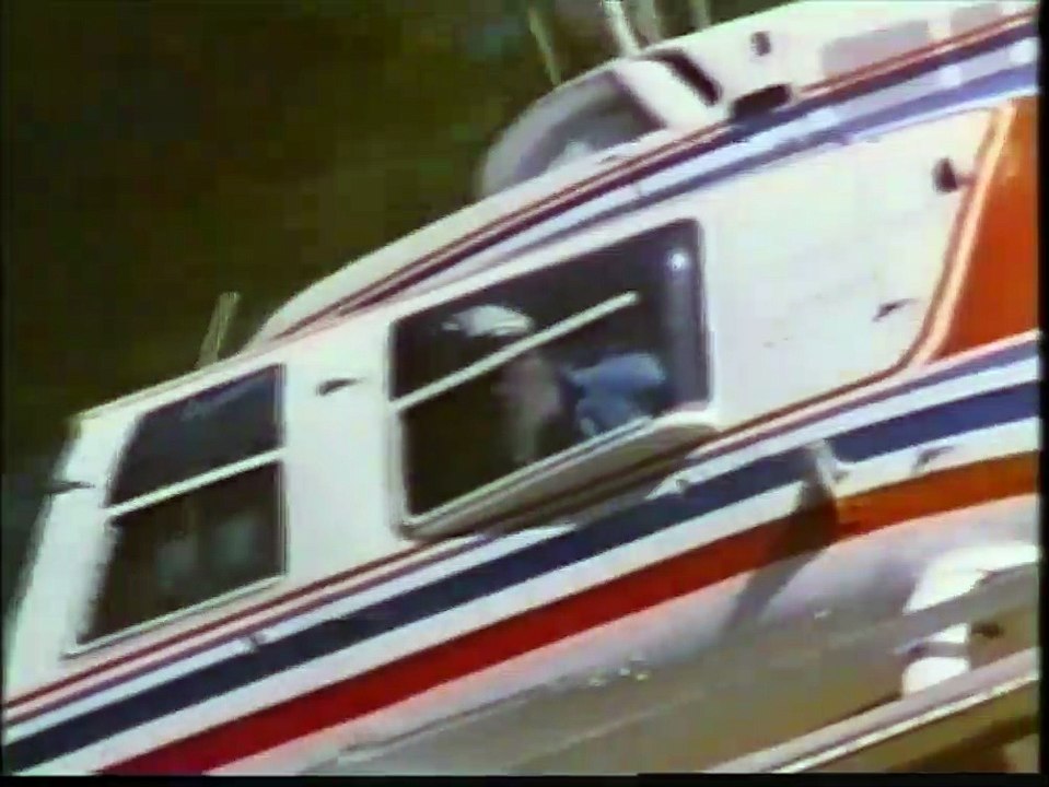 Cuatro cachorros para salvar Tráiler VO