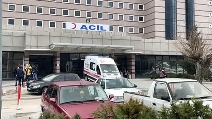 Üniversite öğrencisi, sokak köpeğinden kaçarken otomobilin çarpması sonucu yaralandı