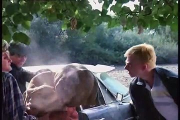 The Hit (La Venganza) Tráiler VO