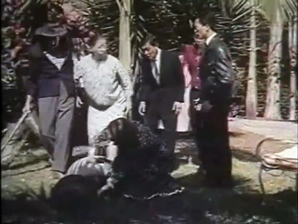 Meu Japão Brasileiro Clipe