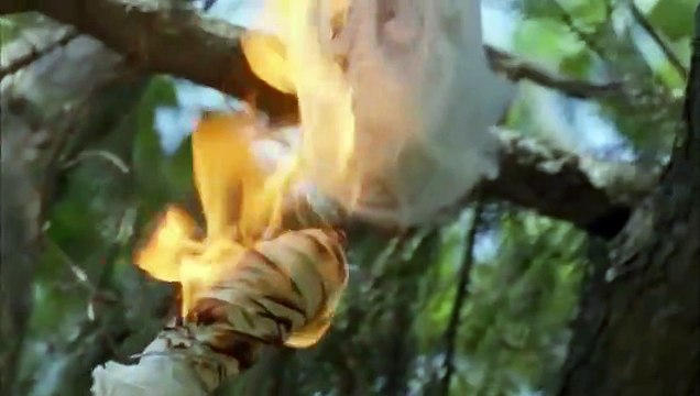 The Girl Next Door Tráiler VO