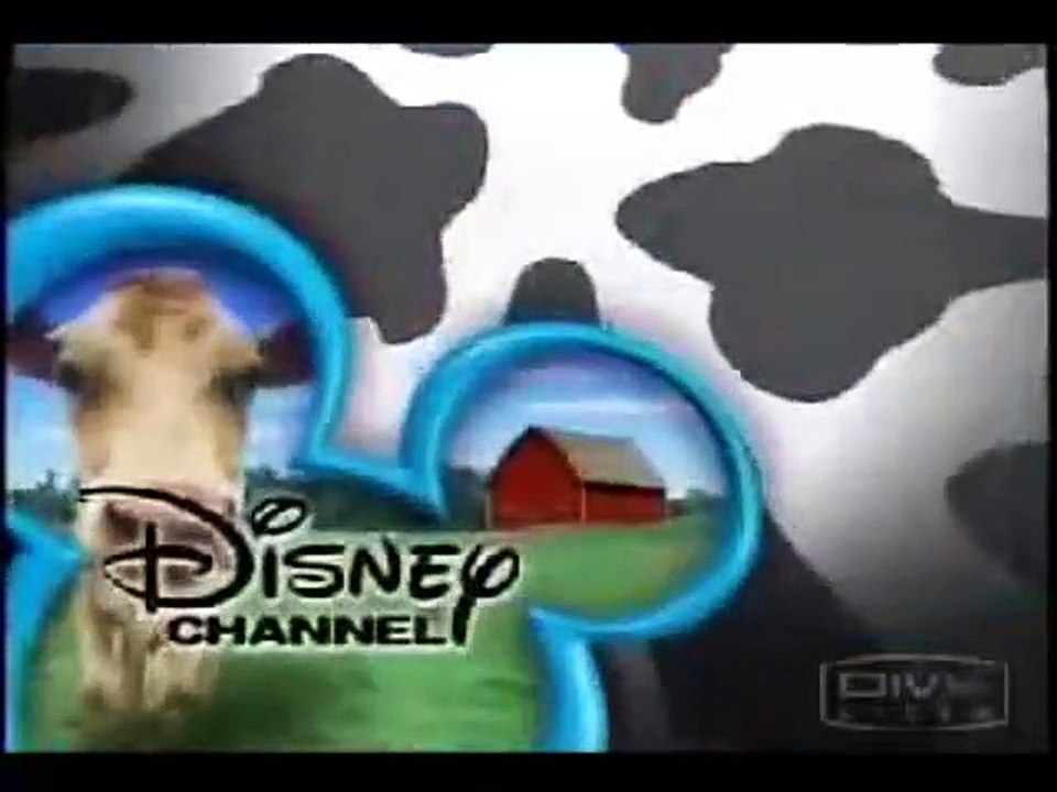 Belas e Mimadas Trailer Original