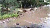 Duddawarra Bridge flooding in the Blue Mountains | March 8, 2022 | Lithgow Mercury