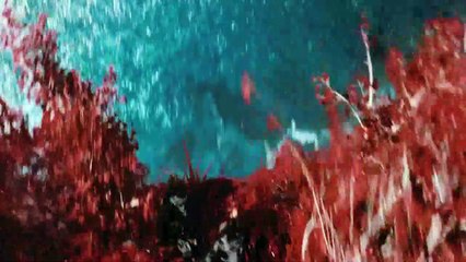 Além da Escuridão - Star Trek Trailer (2) Original