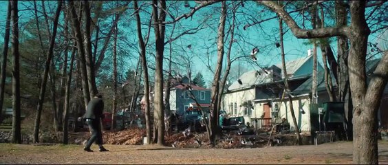 The Skeleton Twins Tráiler