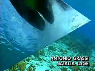 Cara & Coroa Abertura