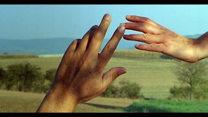 Los puentes de Sarajevo Tráiler VO