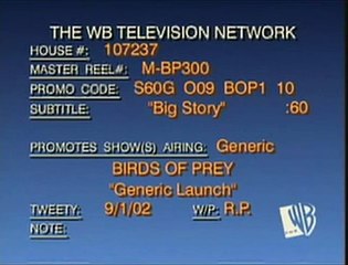 Birds of Prey 1ª Temporada Trailer Original Big Story