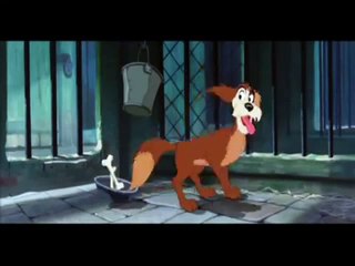 La dama y el vagabundo Videoclip