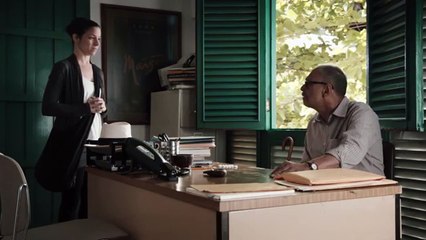 Las Vacas Con Gafas Trailer Original