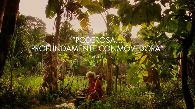 La mirada del silencio Tráiler VO