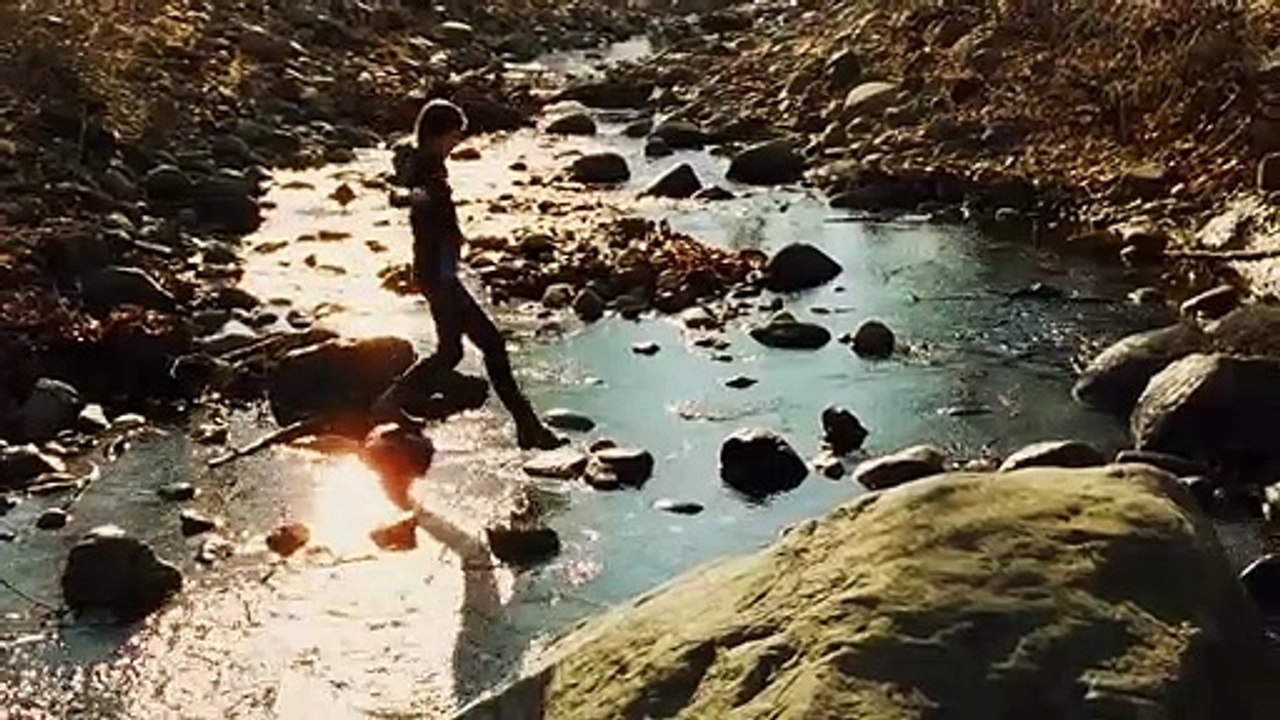 The Harvest Trailer Original