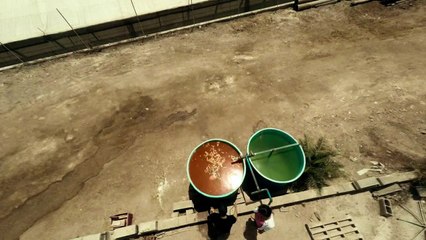 Mar de plástico Tráiler