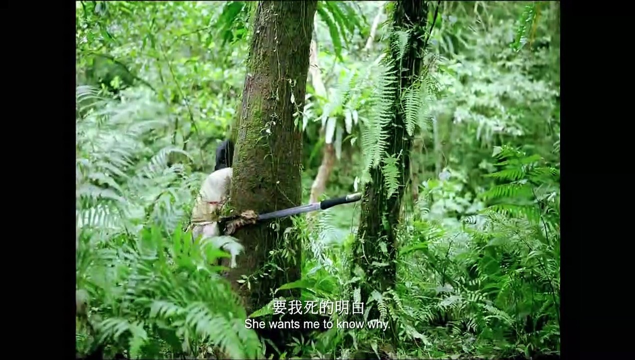 The Assassin Tráiler (2) VO