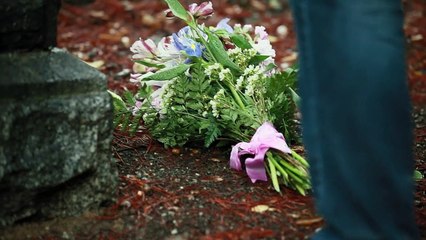 The Immortalists Trailer Original