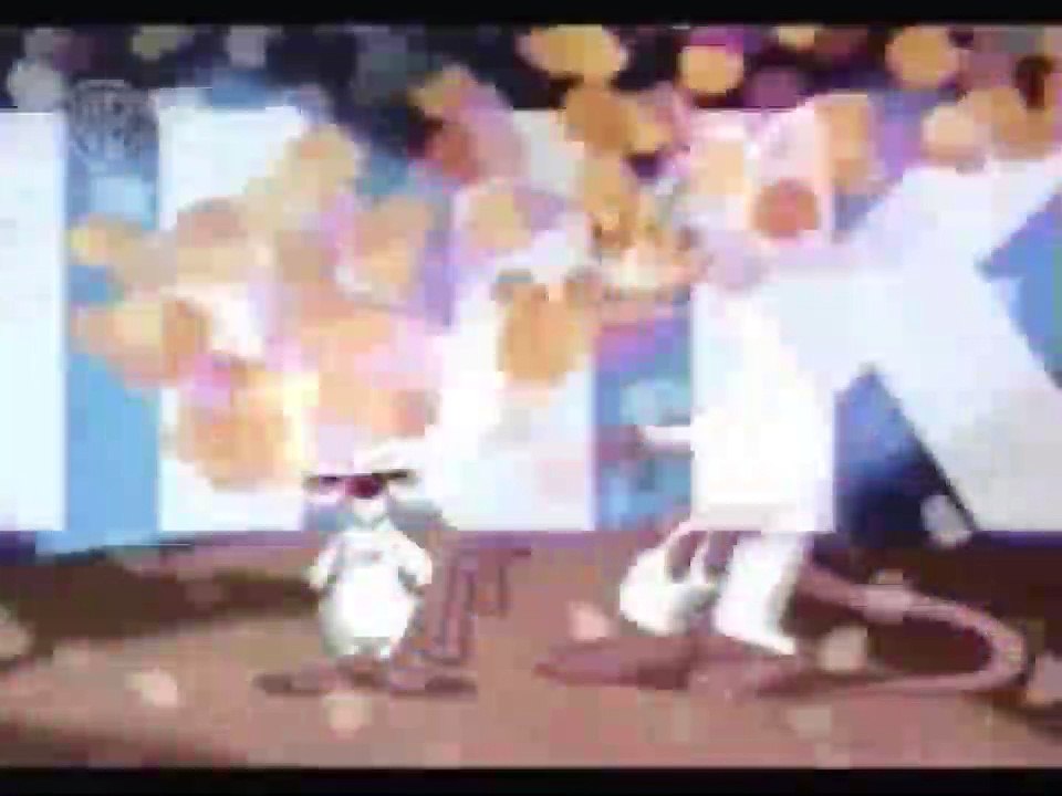 Pinky e o Cérebro Abertura Nacional