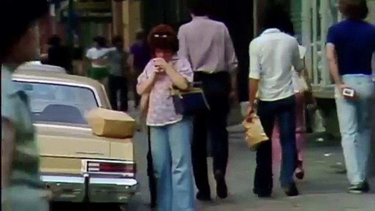 The Dog Trailer Original