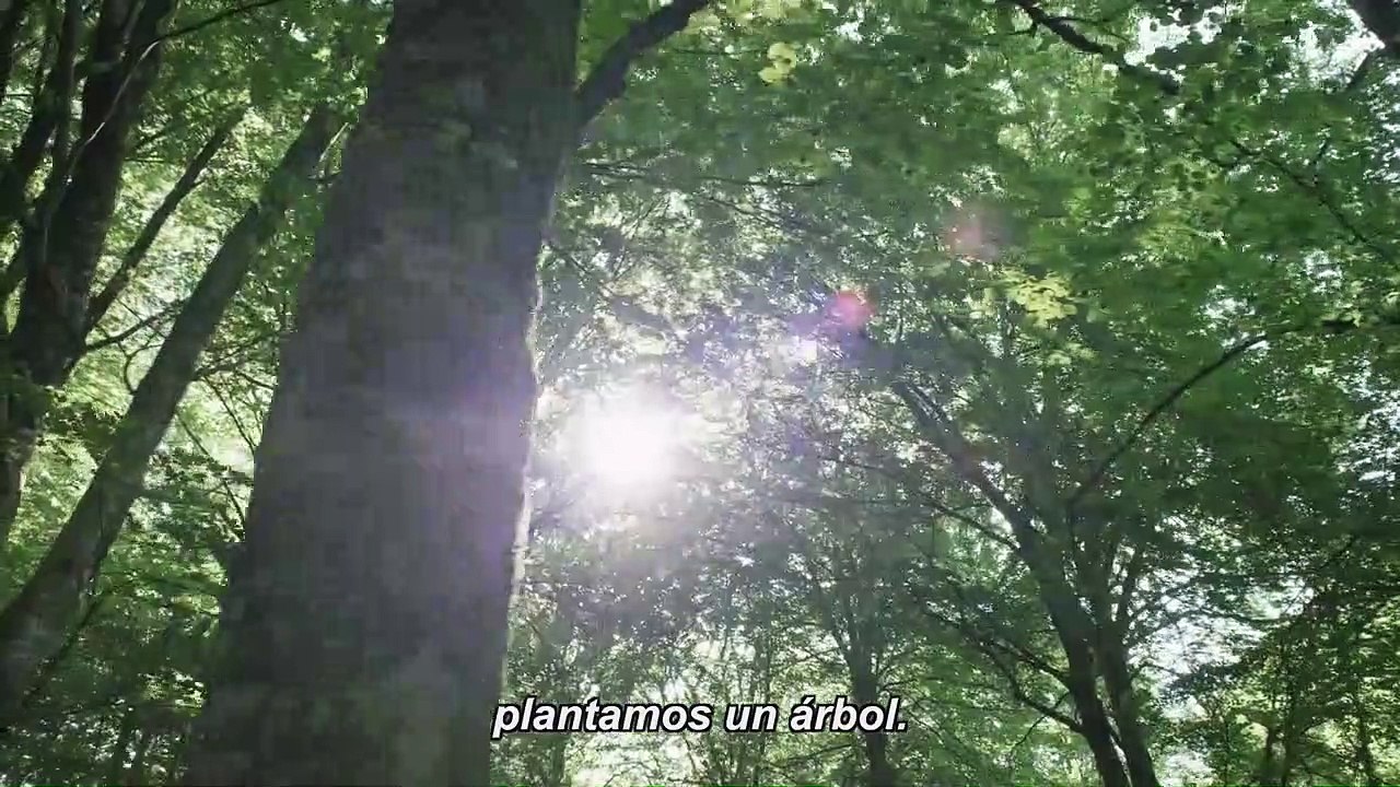 Amama Tráiler VO