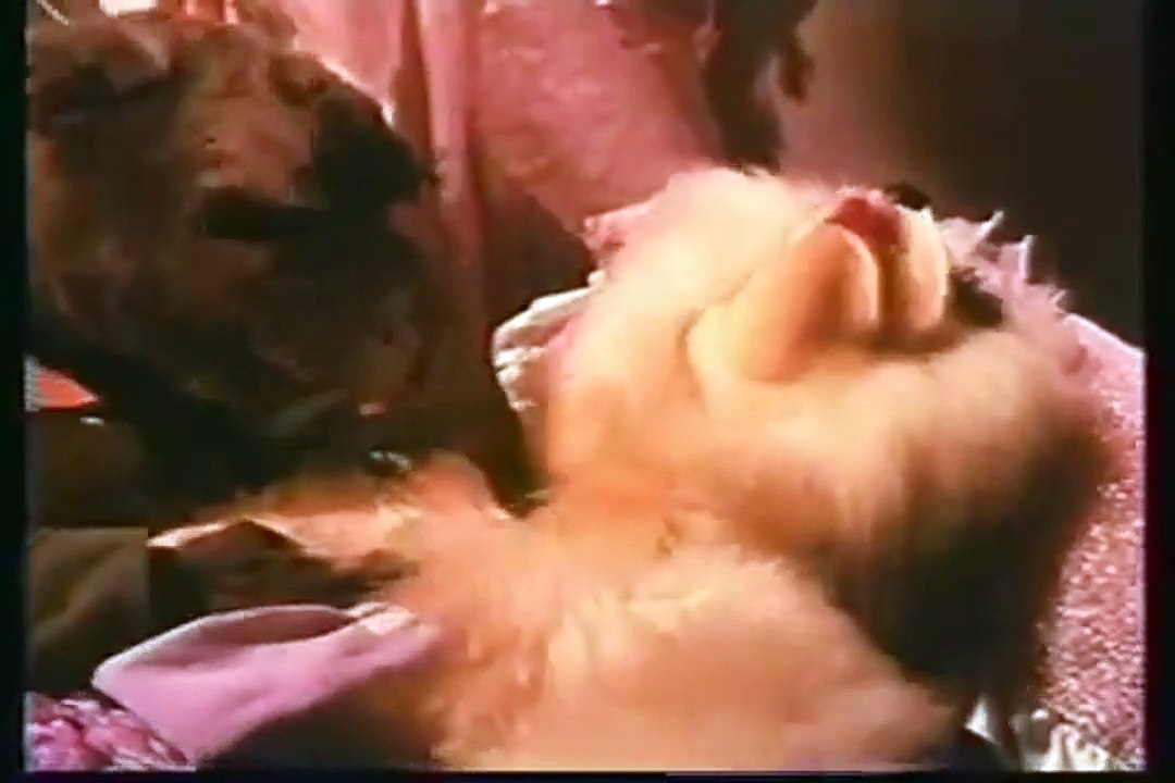 Conheça os Feebles Trailer Original
