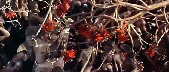 La presa desnuda Tráiler VO